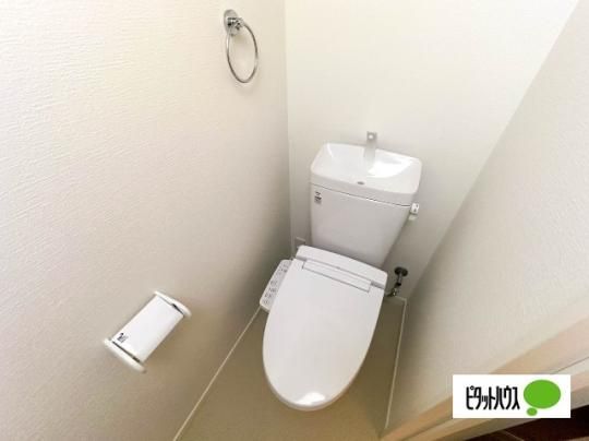 �y���̑��z�@�g�C��