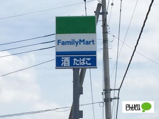 �y���Ӂz�@�t�@�~���[�}�[�g�x�m�s�����^S�X�F238m