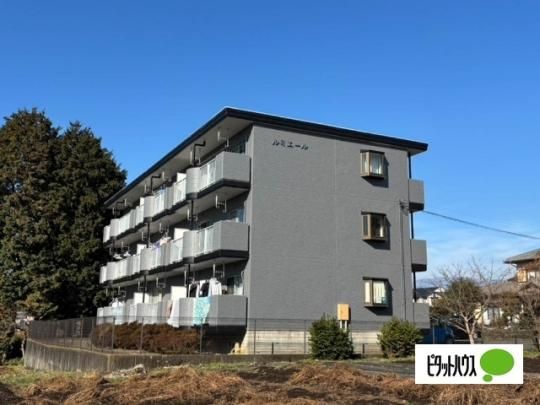 ���~�G�[���T