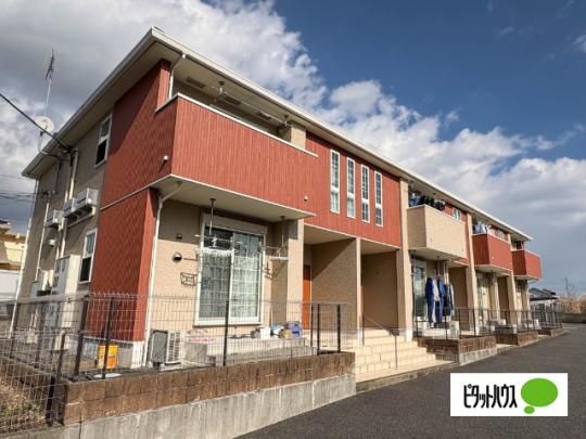 �Z�C�o���[�@�q��