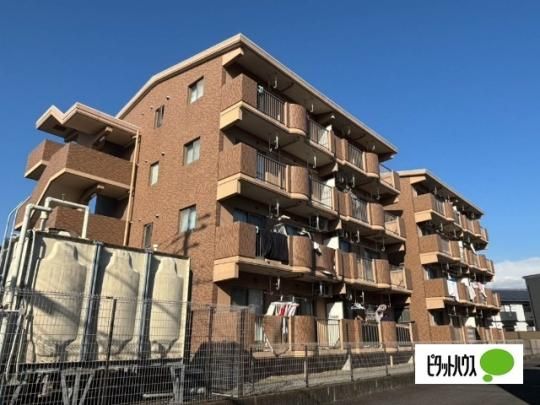 ���~�G�[���R�{A