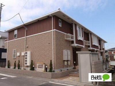 �T�����b�g�K�[�f��