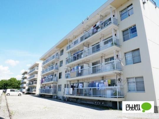 ���]���E�V�Q�m�u