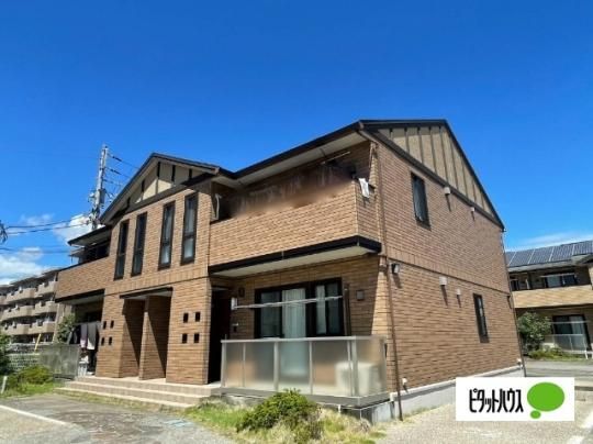 Wit�fs Fujiyama(�E�B�b�c�t�W���})�@C