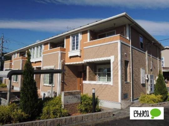 �P�[�E�r�[�E�A�C�@�T