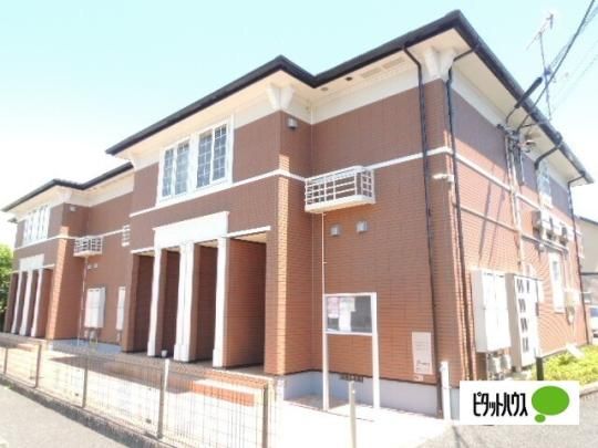 �V�G���E���F���\�[