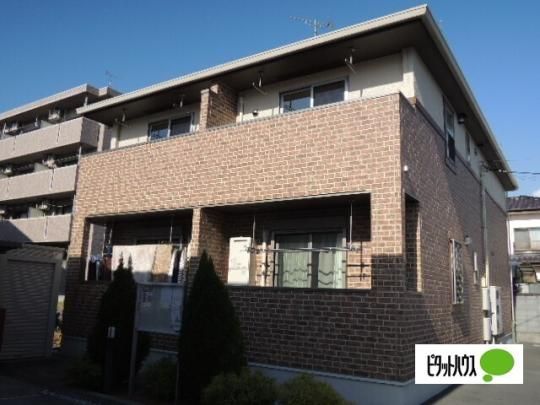 �V�����}���E�h�~�[���U