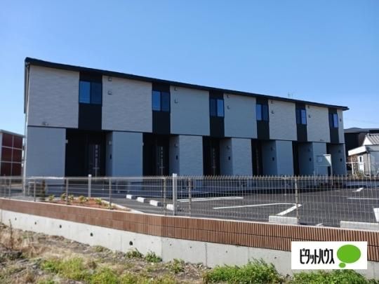 �V���p��