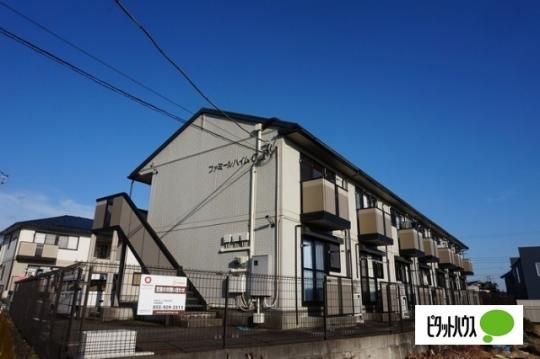 �t�@�~�[���n�C���b