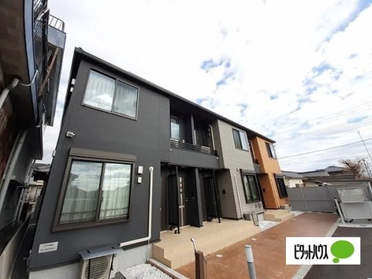 �����@�[�@�J�[�T