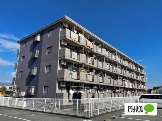 �A���}�K�[�f���n�C�c