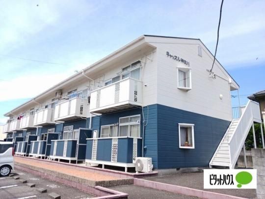 �L���b�X���_�c��