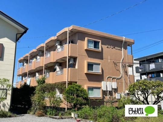 �G�g���[������