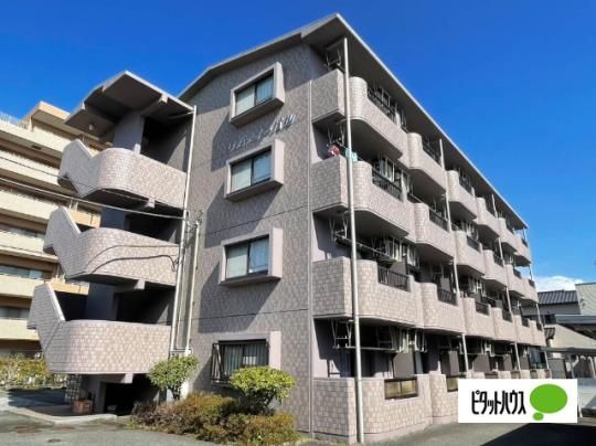 ���o�e�B�[�p��