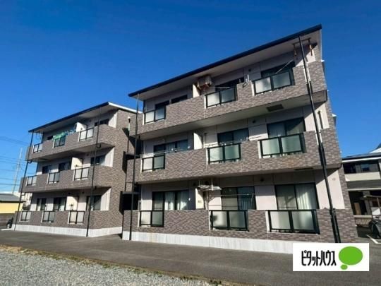 TY�}���V����