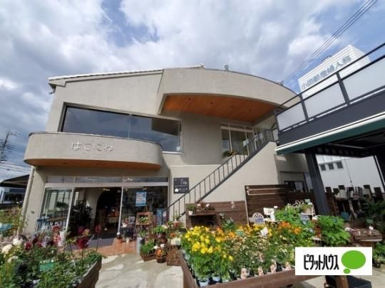 ���Ƃ���X��