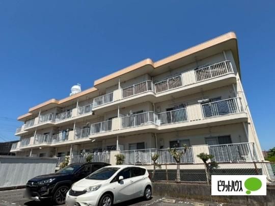 �n�C�c����B