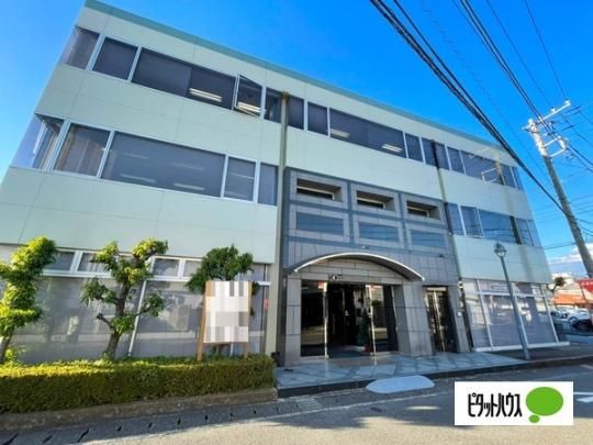 �T���~�b�N�É��r��