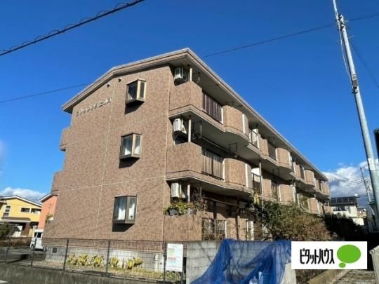 �u���b�V���O�q���Y