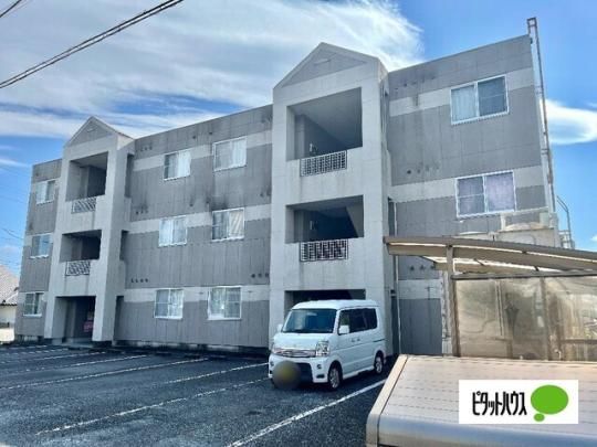 �T���V���C���Ε~