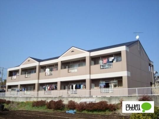 �O���[���q���a