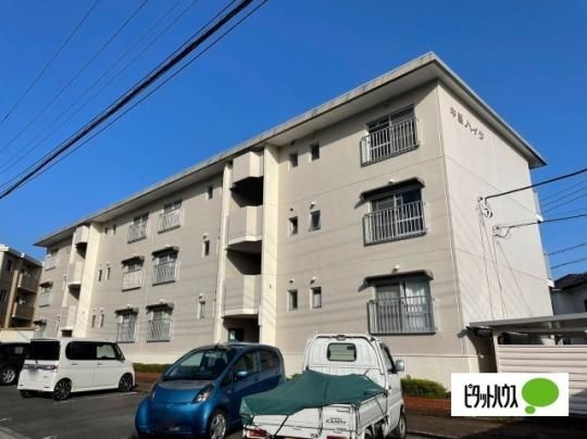 �����n�C�c