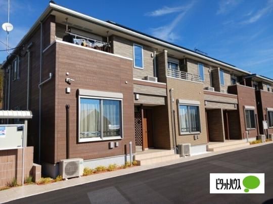 �T���t�����[�`