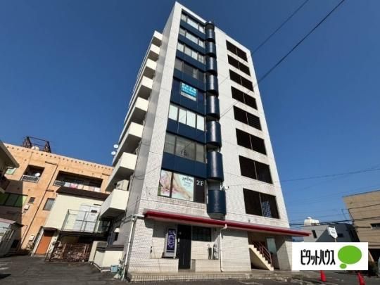 �V���g���t�W