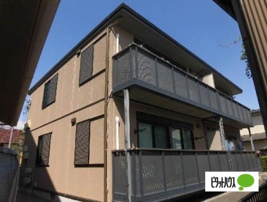 �T���V���C������