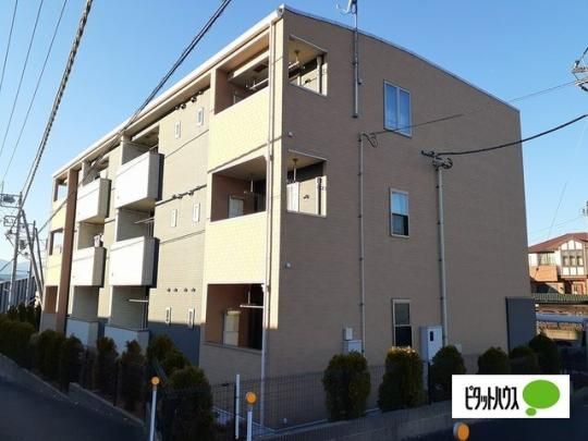 �G���u���C�X�D�j�V