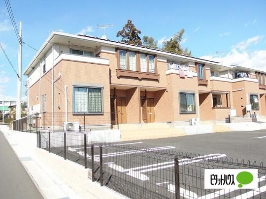 �t�B�I�[���E�R�b�e�B�`