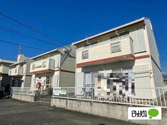 �n�C�c�O�c��