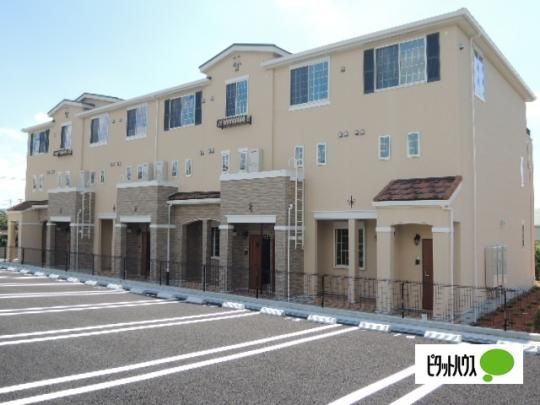 ���~�G�[���T