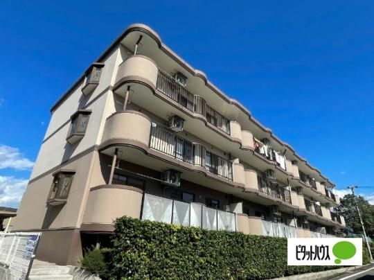 MILLE�@FIORE(�~���E�t�B�I�[��)