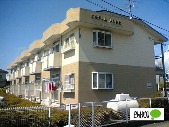 GfB悵