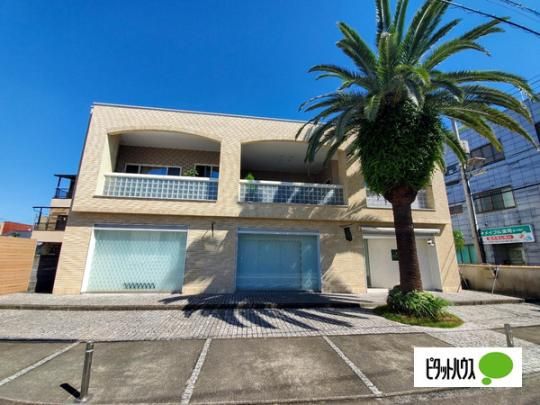 ���_�{���e�i���g