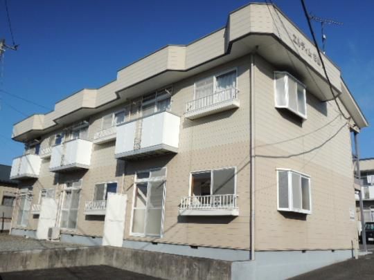 �G���f�B�����R�`