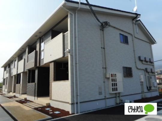 �T�����b�g����