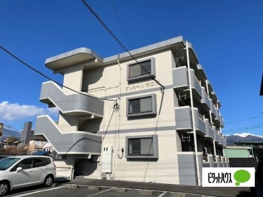 �v���~�[���_�c��