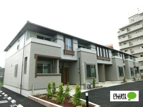 �R�b�e�B�A����