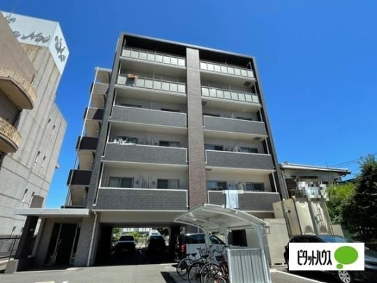 ���B�K���X�i�c��