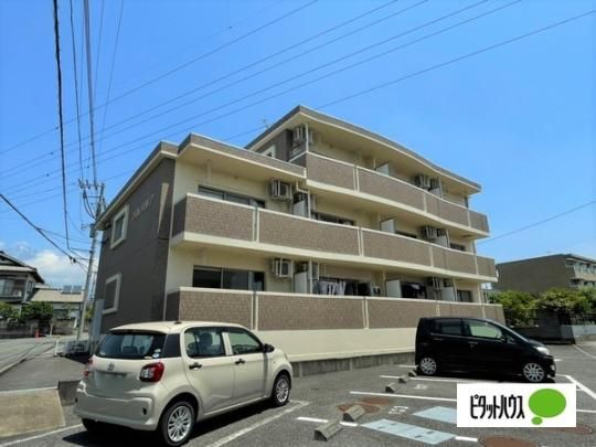 �v�������A