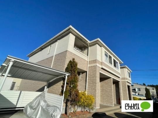 �p���b�g����P