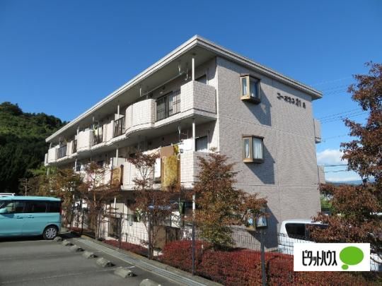 �R�[�|���X21 B