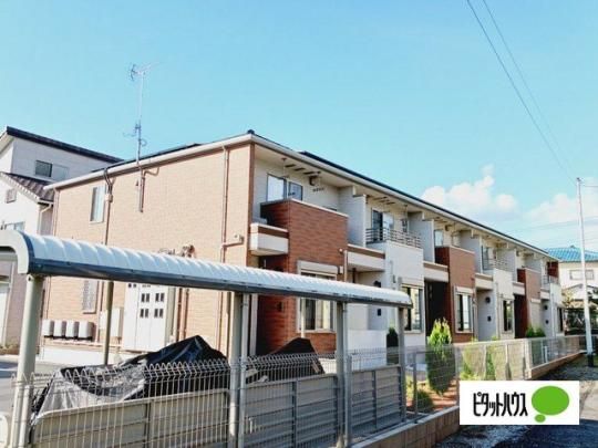 �I�[�N�c���[