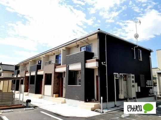 �A���J�f�B�A�E�W��