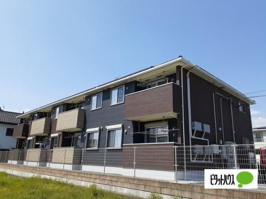 �X�e�B���@���B��