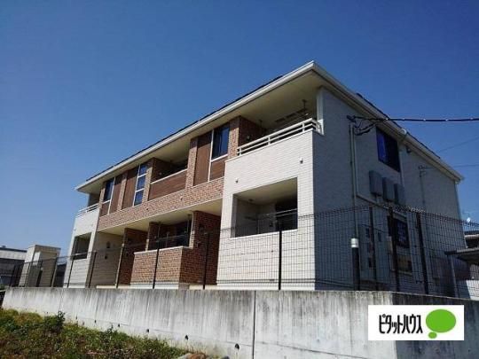 �T�j�[���W�f���X�`