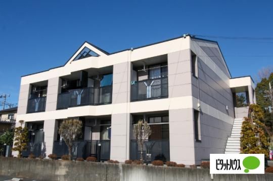 �T�����[���`�@