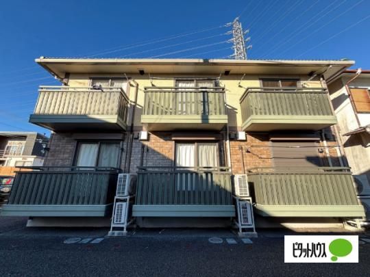 �V���V�A���e�B�[